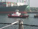 Snap Shots Thumb for IMG_1484.JPG (97
KB)